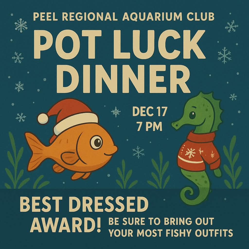 Peel Regional Aquarium Club